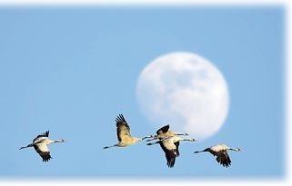 Comment un CROYANT devient un saint ?